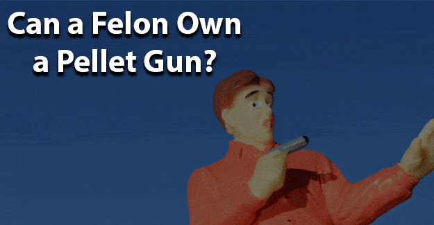 Can felons own a pellet gun