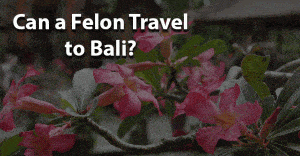 Can a Felon Travel to Bali? Image