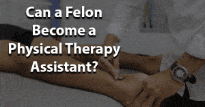 can a felon become physical therapy assistant
