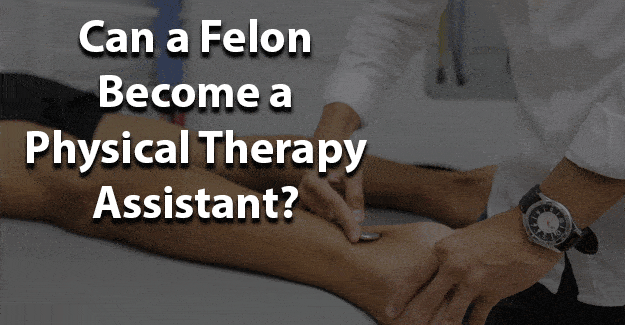 can a felon become physical therapy assistant