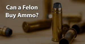 Can a Felon Buy Ammo