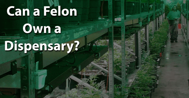 Can a Felon Own a Dispensary