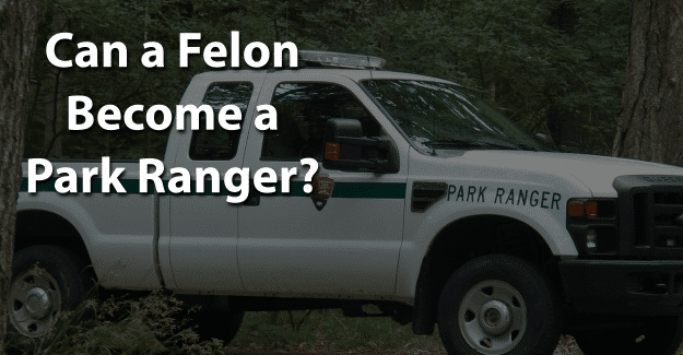 Can a Felon Become a Park Ranger