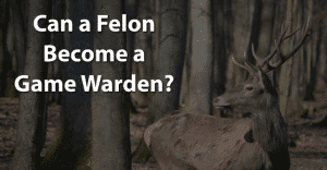 Can a Felon Become a Game Warden