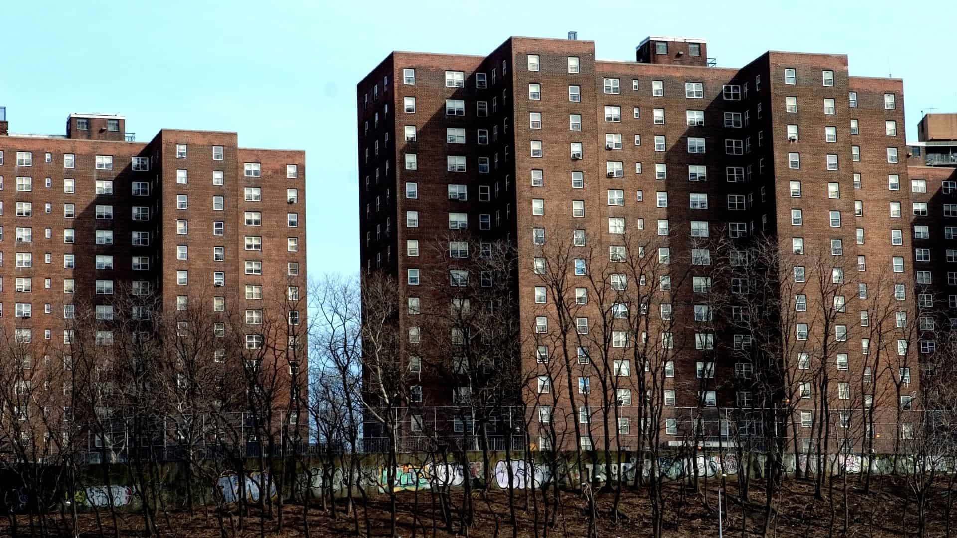 Section 8 Housing In New York City at Matthew Hernandez blog